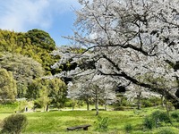 拡大表示