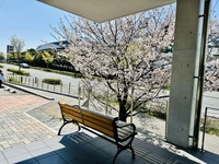 拡大表示